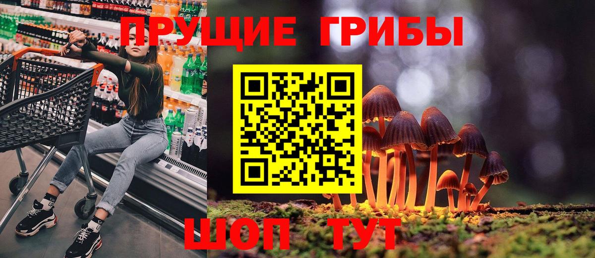 Псилоцибиновые грибы Psilocybine cubensis  Псилоцибиновые грибы Psilocybe  где продают наркотики  Камень-на-Оби  Вход с VPN 